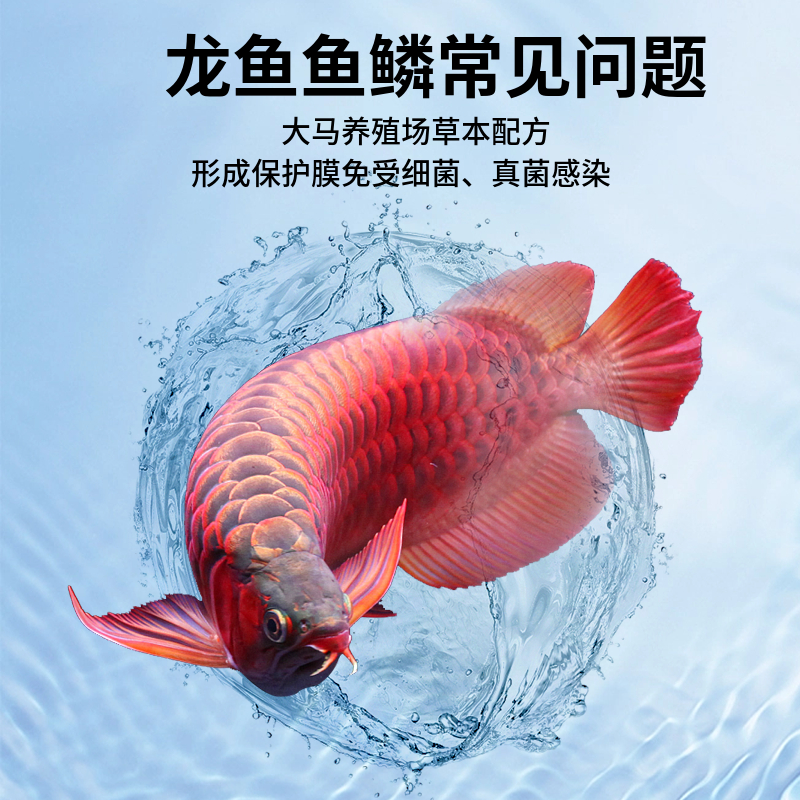 龙鱼救星来了！虎鱼痘疮/水霉/溶鳞全搞定，养鱼人必看