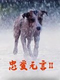 忠爱无言2