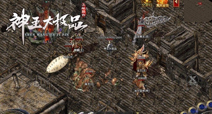 神王大极品传奇
