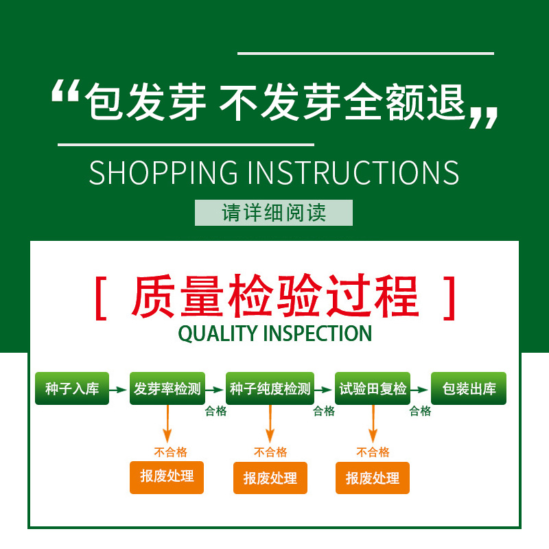 丰霸C929西瓜种子：圆瓜皮薄超甜，东北大地雷耐重茬瓜的种植秘籍！