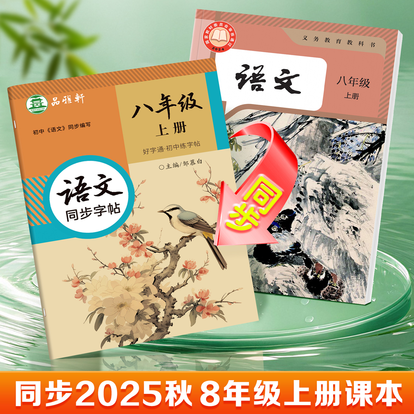 2025初中人教版字帖：练就一手好字，书写美好未来！