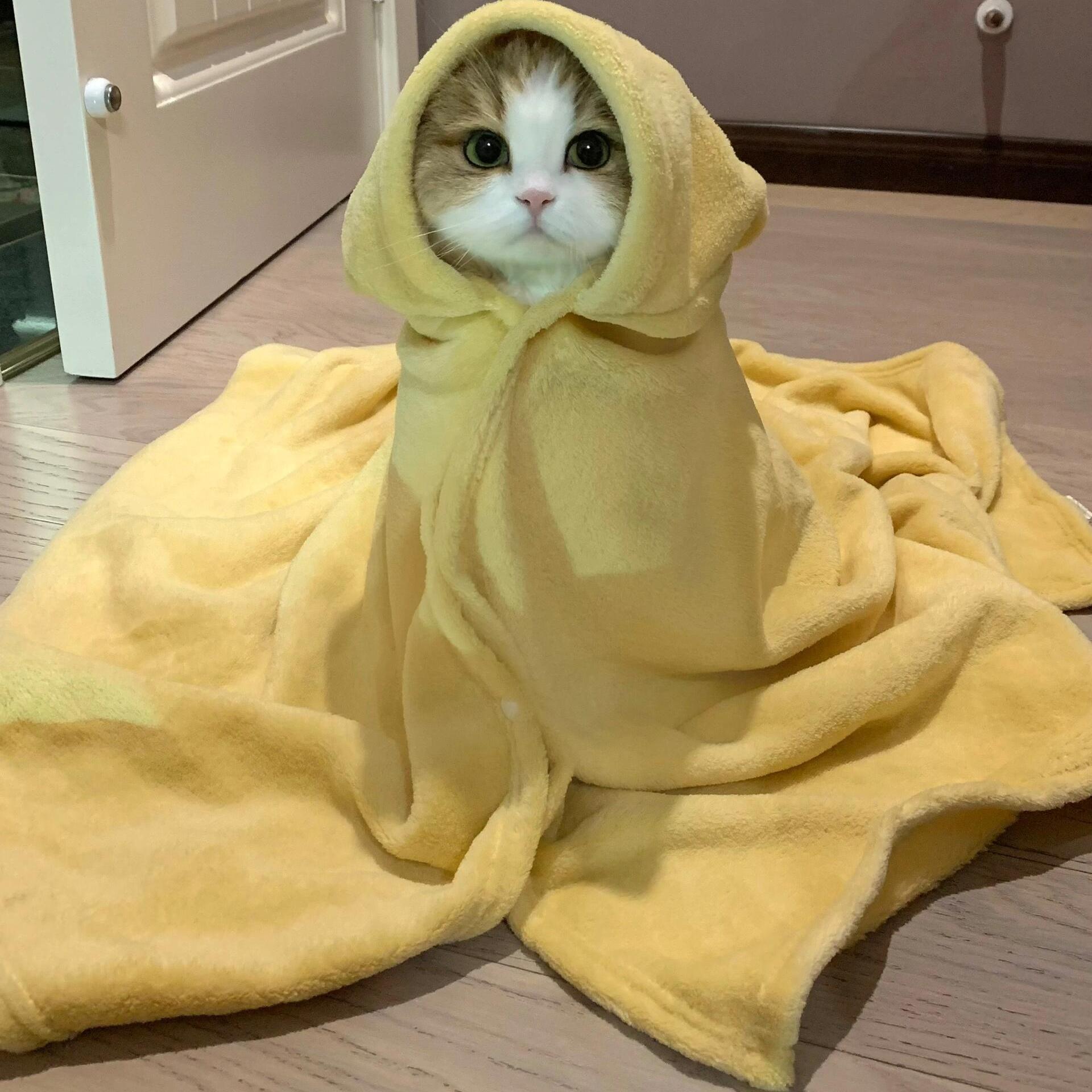 杜邦英威达COOLMAX面料：夏日必备，单向导湿吸排速干神器✨