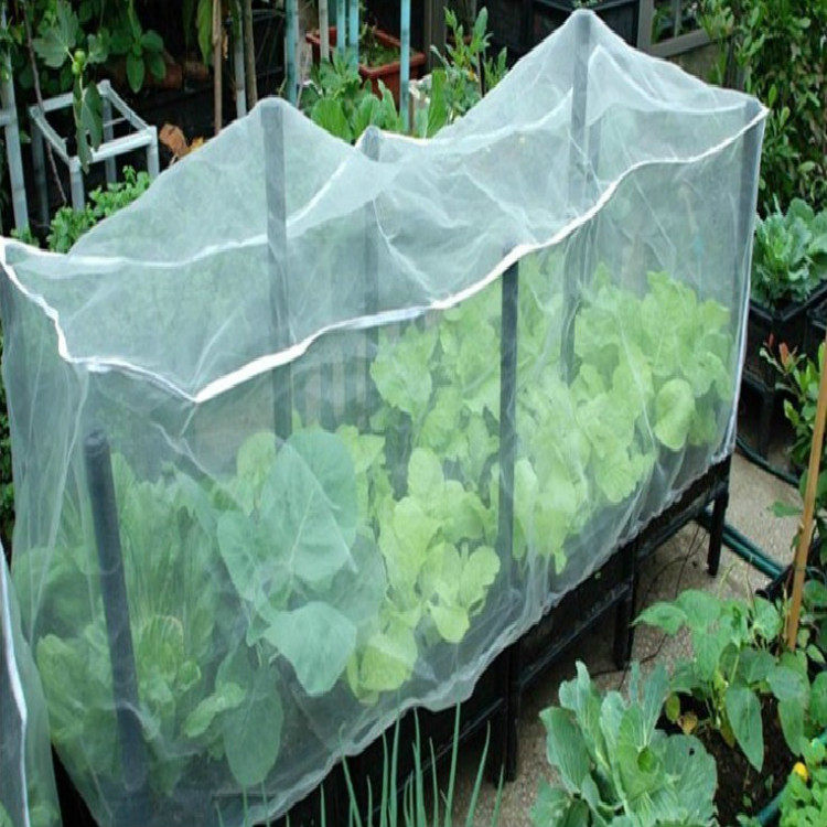 2026果园必备神器：定做防虫网罩加厚款是否适合你的果树种植？