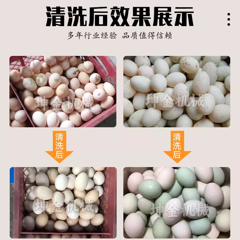 全自动洗蛋机：告别脏蛋蛋，迎接新鲜蛋蛋的革命！✨