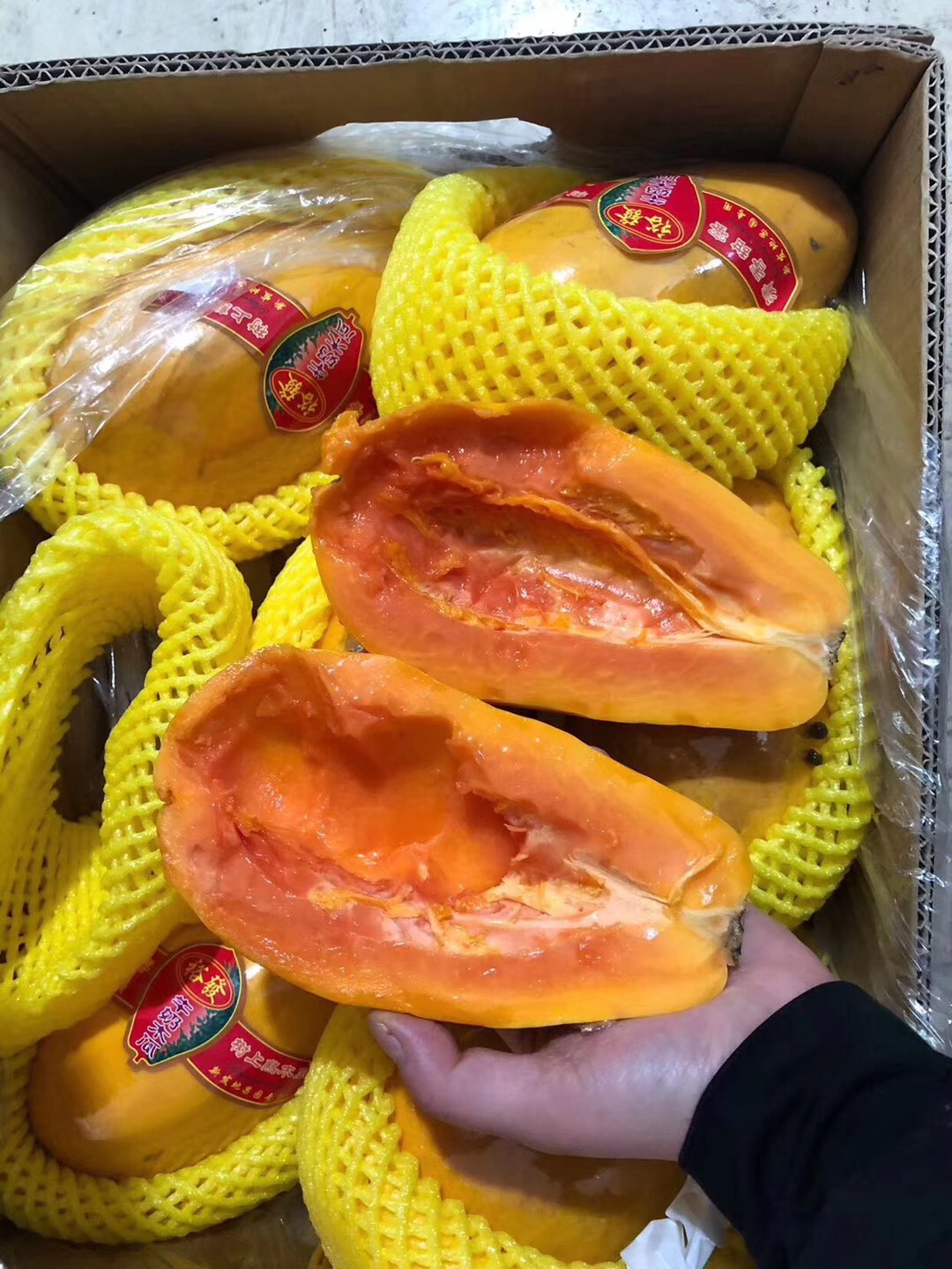 海南牛奶有机红心木瓜树上熟孕妇 新鲜木瓜 10斤装5-6粒东北包邮