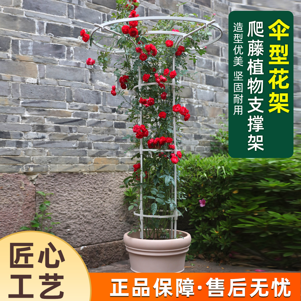 园艺伞形花架：打造梦幻花园的秘密武器✨