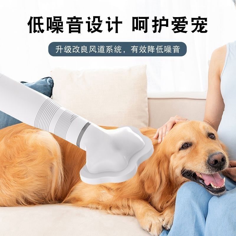 UAH宠物吹风机拉毛一体机：狗狗吹毛神器，猫咪泰迪比熊洗澡必备小帮手！
