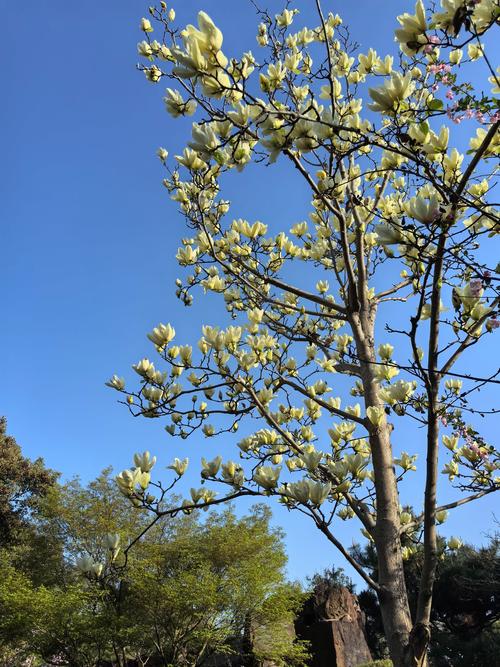 虎丘高级足道水疗在哪里,足道水疗