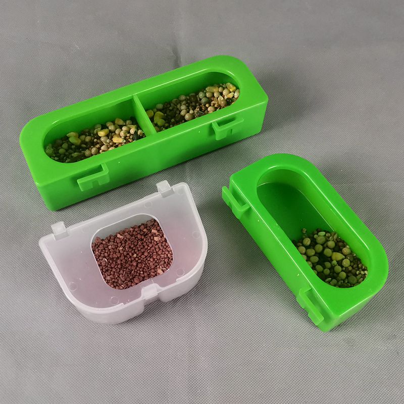 信鸽用品大揭秘：如何打造完美的赛鸽用具与栖息环境？