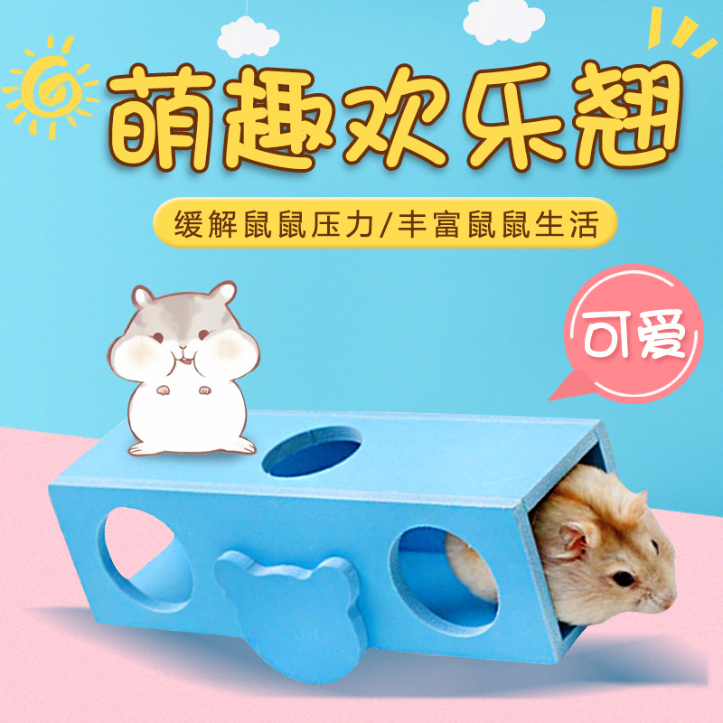 欢乐时光 仓鼠乐园大揭秘：金丝熊的梦幻秋千乐园