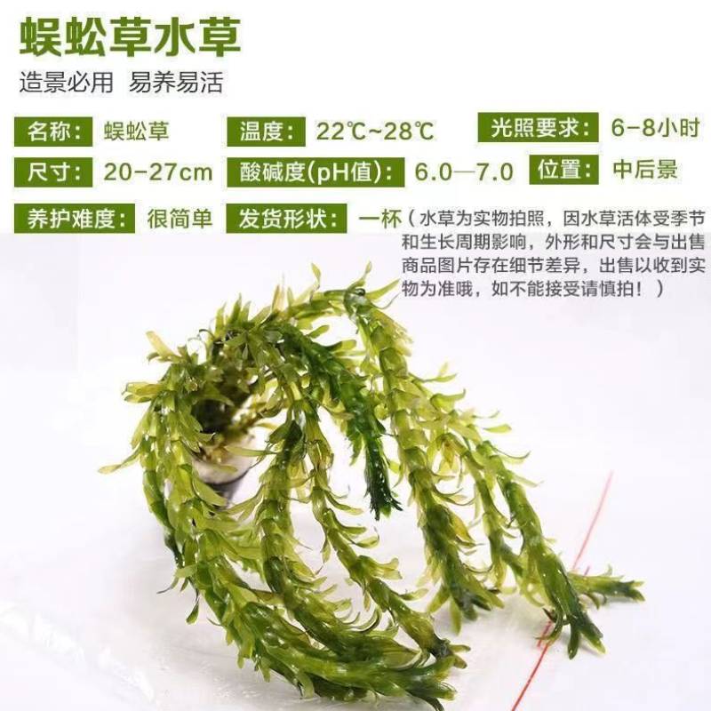 正版②手书85新环境监测人员持证上岗考核试题集第四版：环保人的必修课，拿证路上的灯塔！