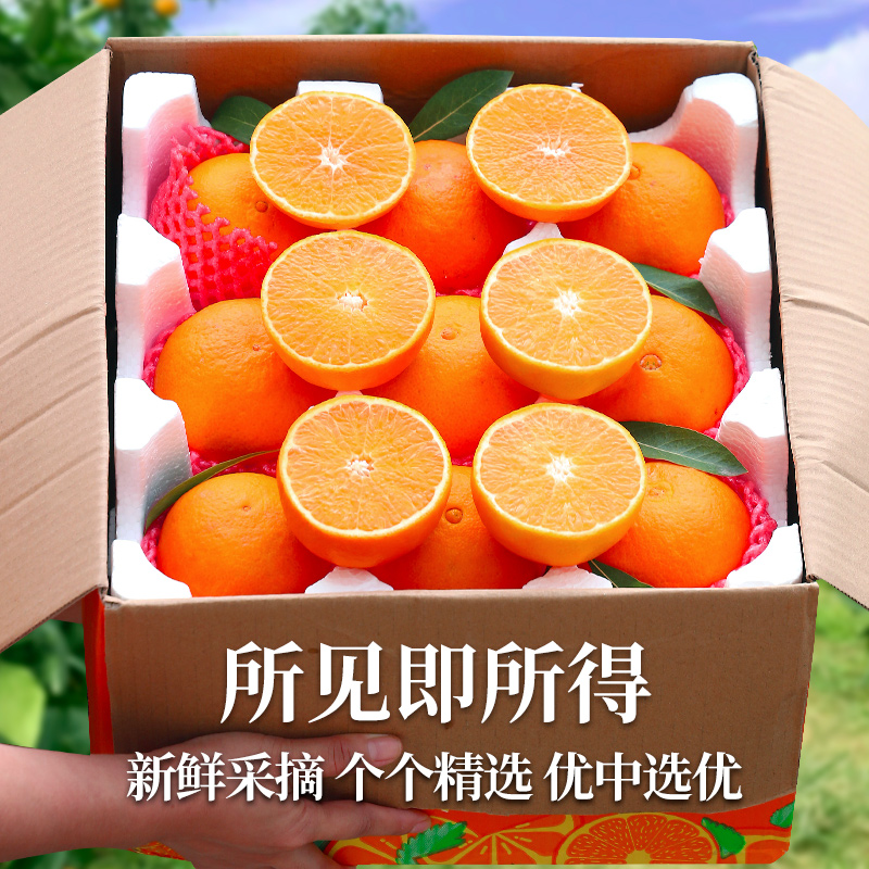 四川新鲜超甜青见果冻橙：10斤大果橙子，尝鲜必备！