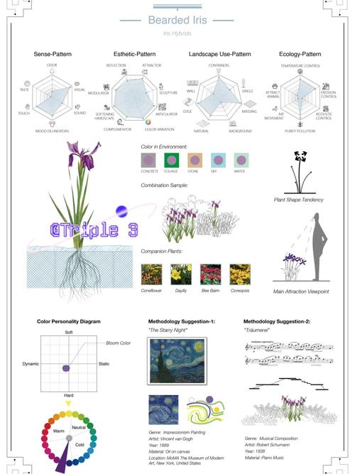 sand perennials,Sand Perennials: A Detailed Guide for Your Garden