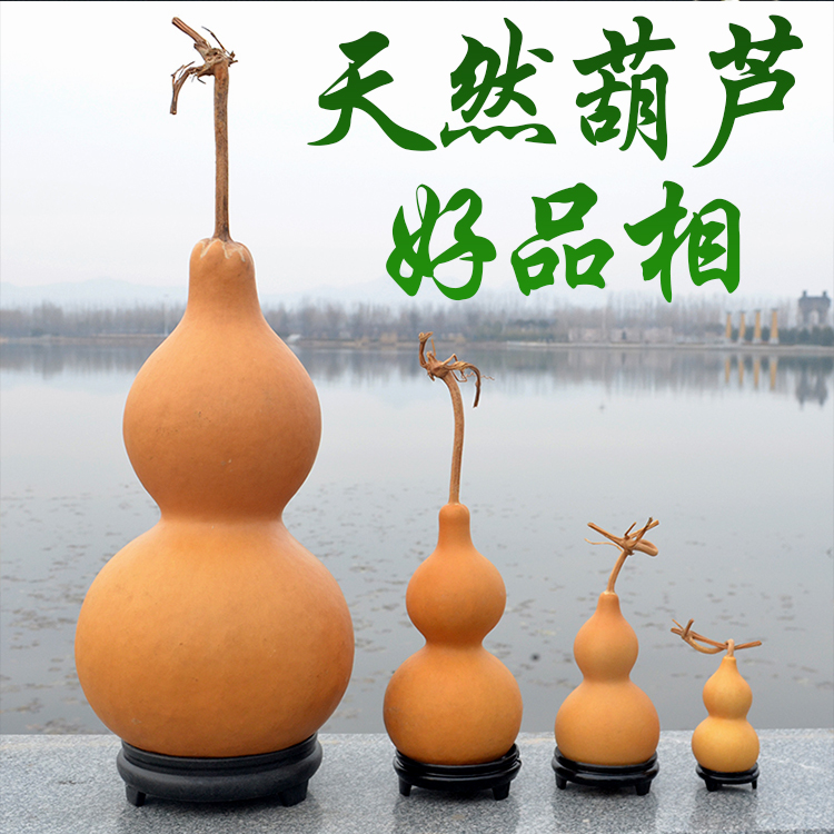 天然大葫芦摆件：文玩新宠，风水镇宅的家居美学典范！