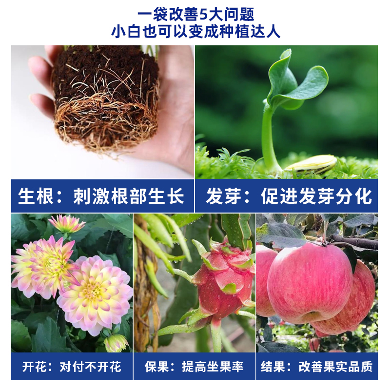 98%晶泰康龙厂磷酸一铵氮磷水溶肥：农业增产的秘密武器