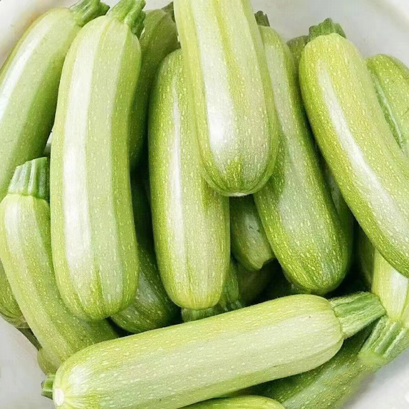 优选山东西葫芦：农场直发，当季蔬菜的新鲜秘籍！