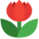 图图水印助手官方版 v1.0.0.4