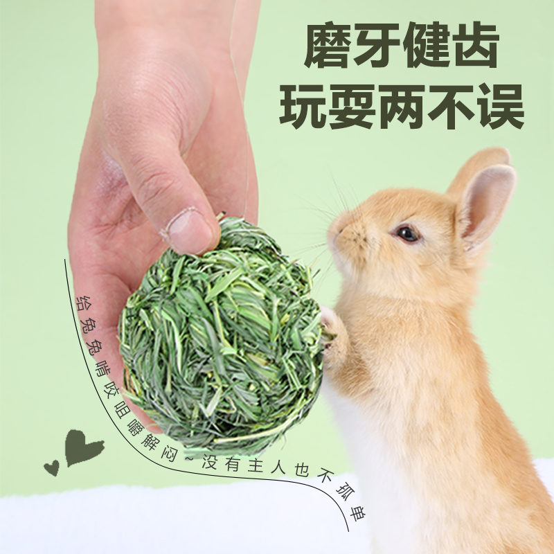 兔子解闷玩具+手工编织水草萝卜，宠物兔、龙猫、荷兰猪的磨牙零食大揭秘！