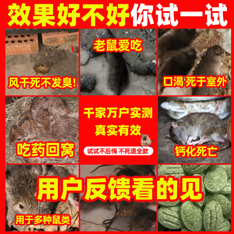 高效低毒的老鼠药，让你告别鼠患！