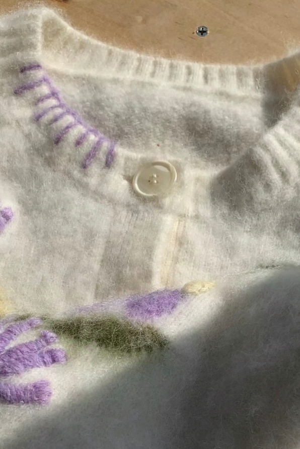 揭秘大脑的秘密花园：海马体的神奇作用