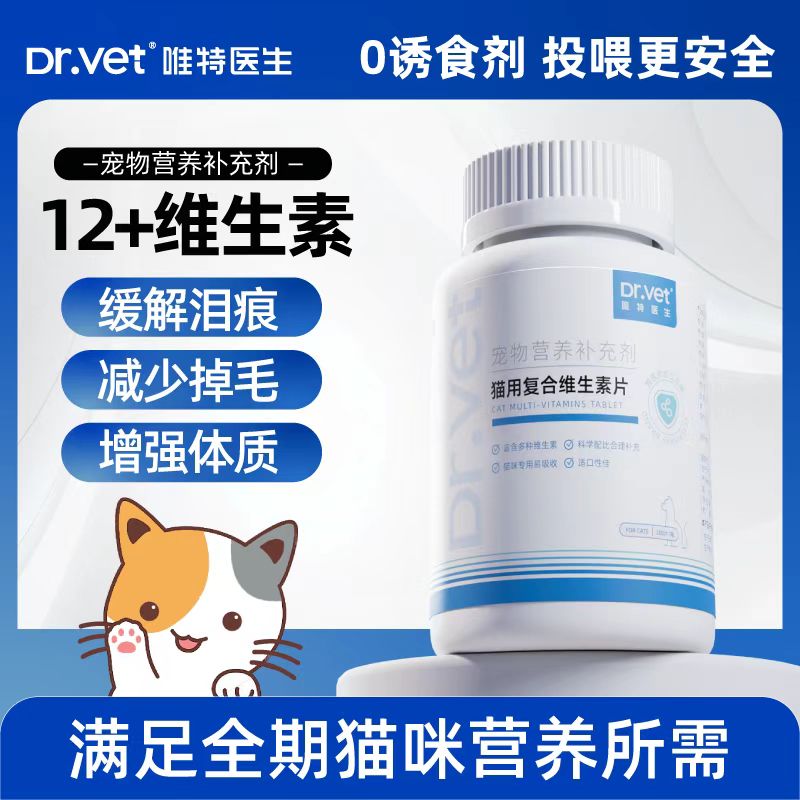 探探猫歌曲动画片：萌宠神曲引爆全网，你还没看过？