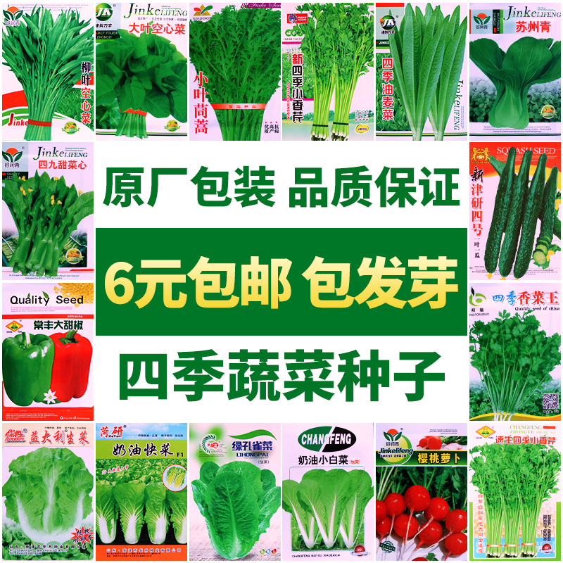 京青益微微生物菌剂：番茄草莓种植救星，解决重茬死苗难题