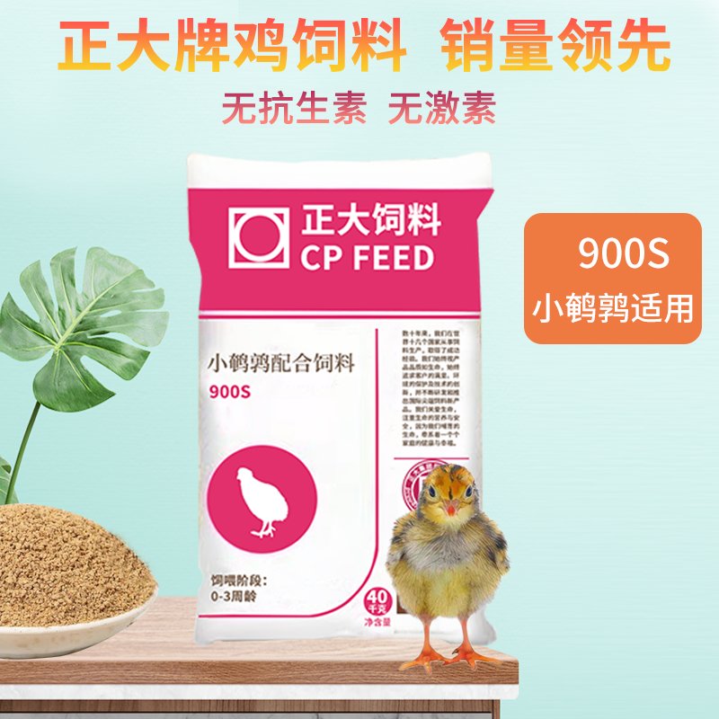 Z9航班行李托运全攻略：MYAirline、马来西亚贝壳、昆明江西航空、联合虎航大揭秘！