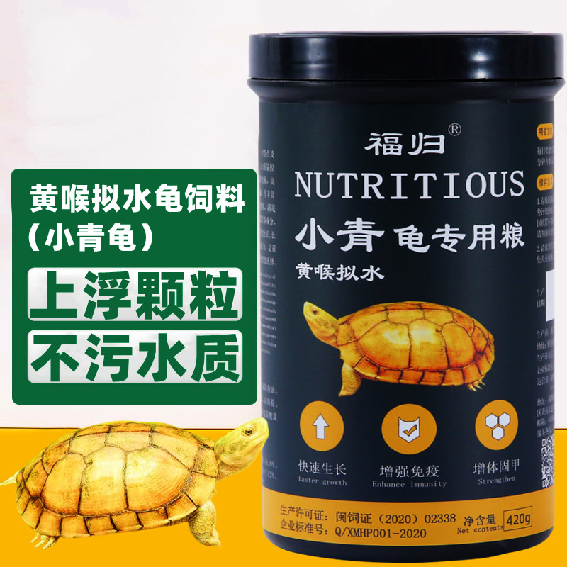北石龟小青龟太香了！皖南种三黄苗超治愈，养龟新手必看！