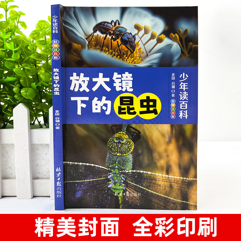 传统文化大揭秘：林锋带你走进神秘的大六壬详解