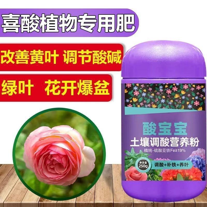 工业硫磺粉与农业蓝莓种植：如何正确使用硫磺粉提升土壤酸性，促进蓝莓生长？