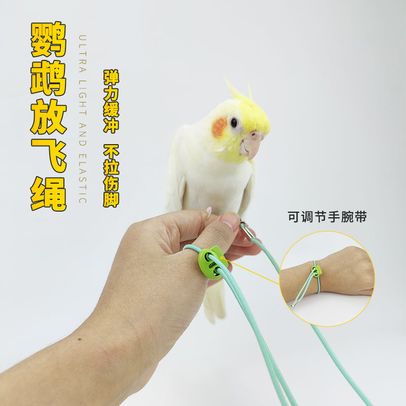 鹦鹉专用脚环放飞绳：超轻遛鸟神器，轻松训练不伤脚！