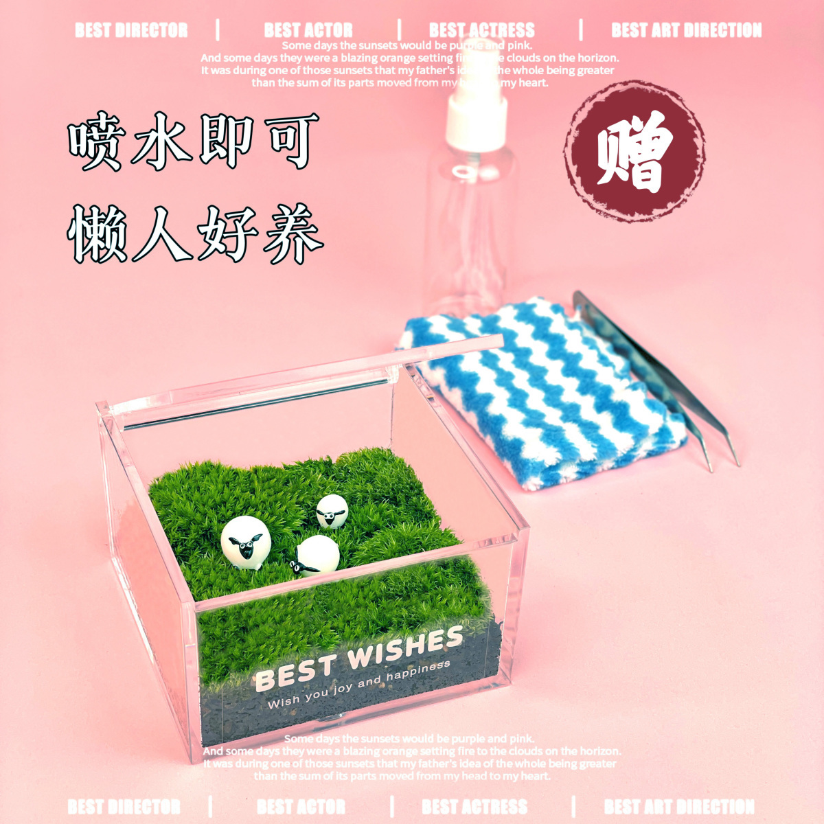 私人草坪苔藓微景观：办公室桌面的绿色氧气站