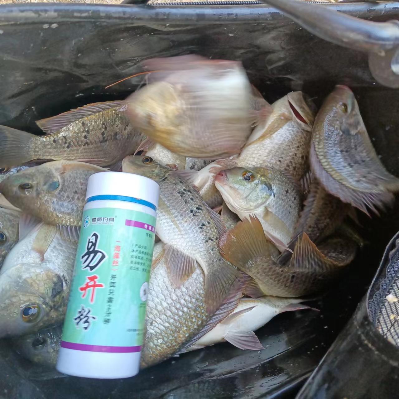 钓鱼饵料怎么调？新手必看的绝密配方+实战技巧来啦！