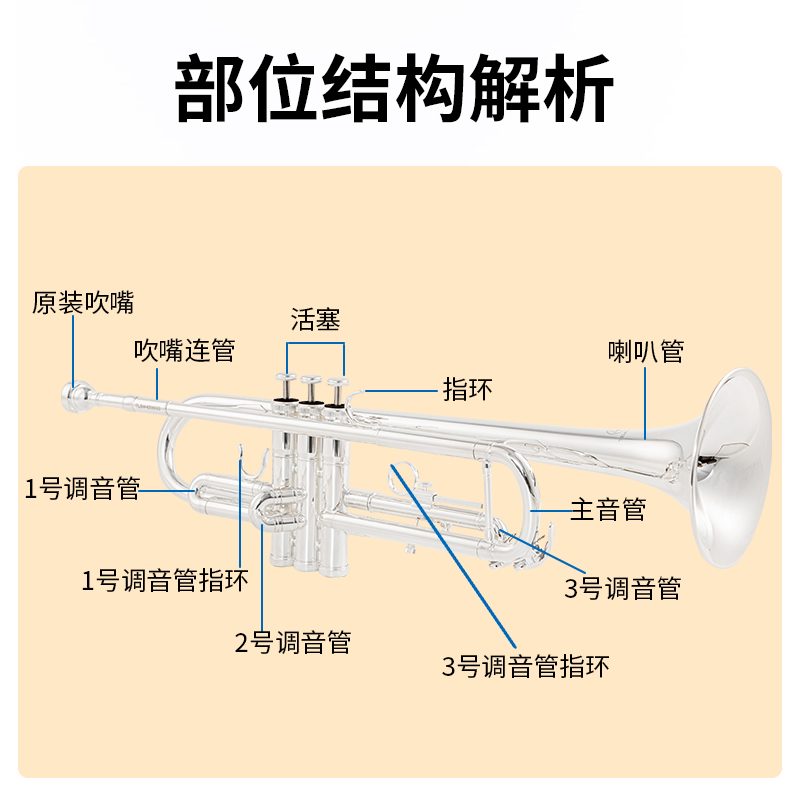 原装特莱斯曼小号：初学者的福音，考级与专业演奏的完美伴侣！