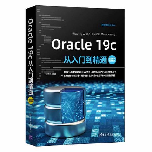 oracle面试题,Oracle数据库面试题解析，助你轻松应对面试挑战