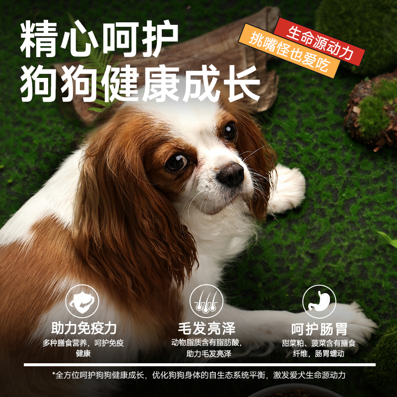 麦富迪营养森林通用型犬成犬粮2.5kg/袋：狗狗餐桌上的超级英雄，营养与美味兼得的秘密武器！