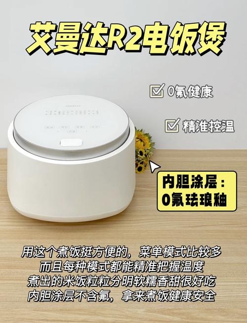 购买电饭煲、空气炸锅、破壁机这类小家电需要注意哪些坑？有哪些值得入手？,煮饭神器，选对是关键