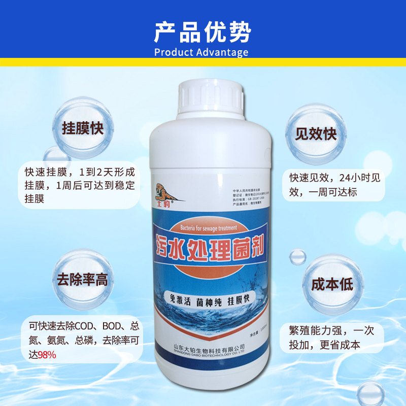 污泥污水除臭的秘密武器：如何有效处理恶臭问题？