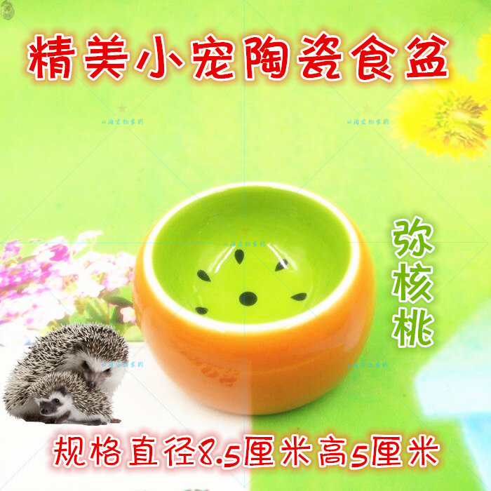 迷你刺猬仓鼠食盆：宠物界的饮食神器，再也不怕翻盘啦！