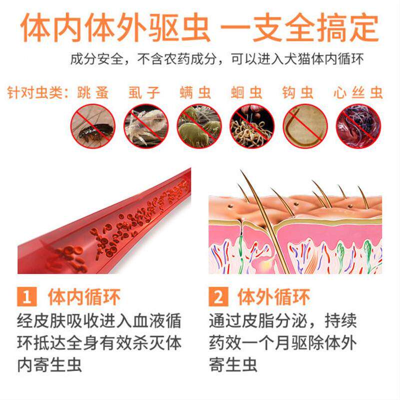 如何选择强效体内体外一体驱虫药来有效保护爱犬？