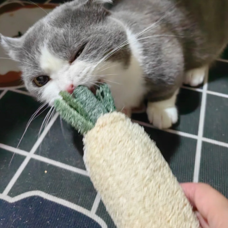 丝瓜络宠物磨牙玩具！仓鼠龙猫比熊都爱疯抢！这波不买真的亏麻了