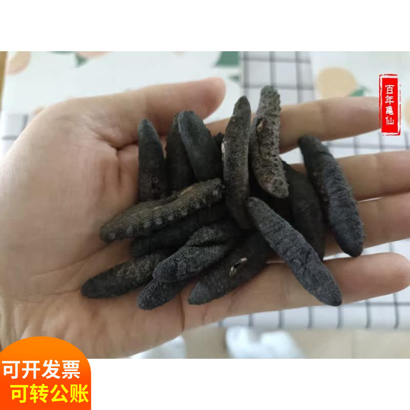 新西兰南极黑刺参：孕妇术后康复的超级食品？