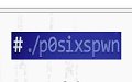 p0sixspwn(苹果6.1.3完美越狱工具)1.0.8 免费版
