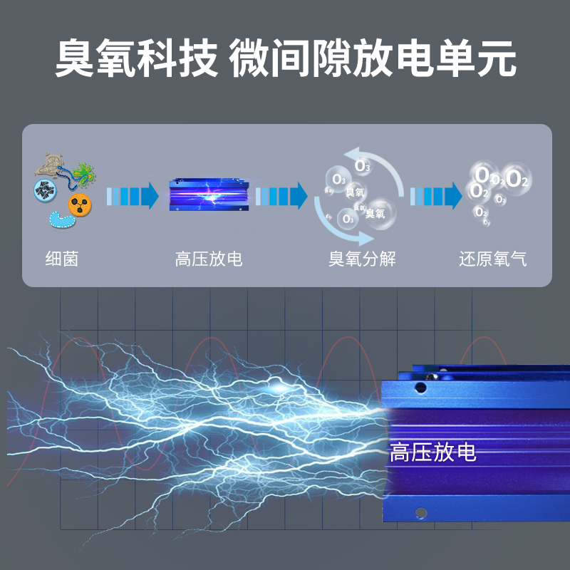 10g-50g臭氧消毒机：食品厂与实验室必备神器，守护食品安全与卫生的秘密武器！