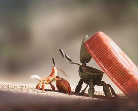 Shellfish