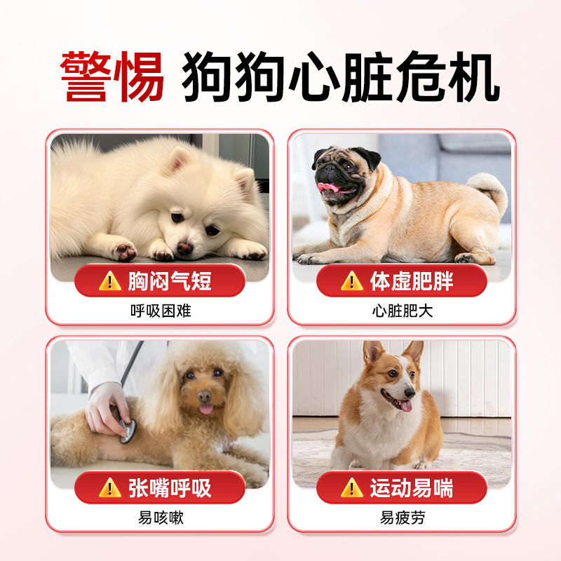 vegis辅酶Q10：宠物心脏守护神，狗狗猫咪的心脏强健秘籍！
