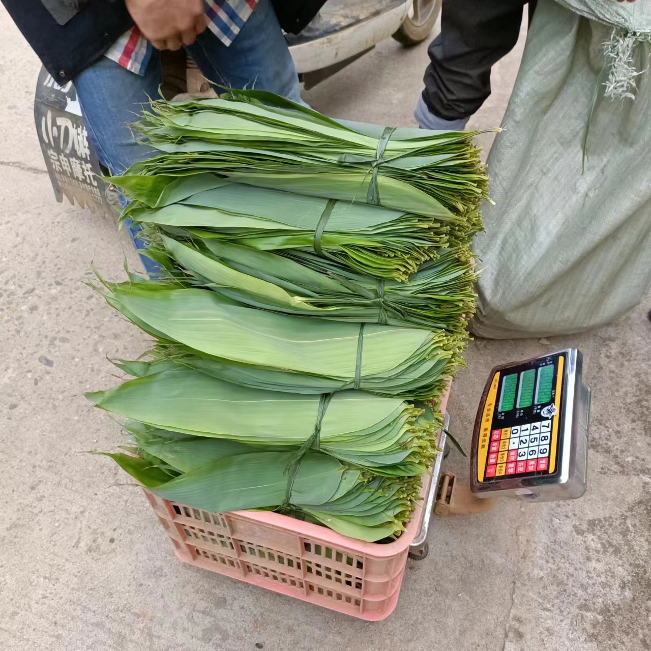 粽叶大揭秘：如何挑选和使用这50片绿色宝藏，包出美味粽子？