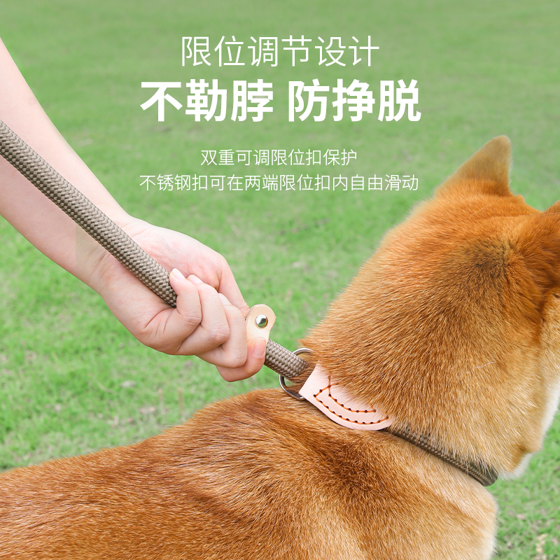 狗狗绳子防爆冲P链遛狗牵引绳防挣脱狗链子中大型犬防爆冲拴狗P绳，遛狗神器大揭秘！