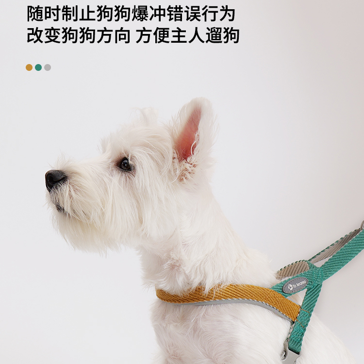 遛狗神器来袭！大型犬专用军犬牵引绳+胸背带，遛狗不再愁！