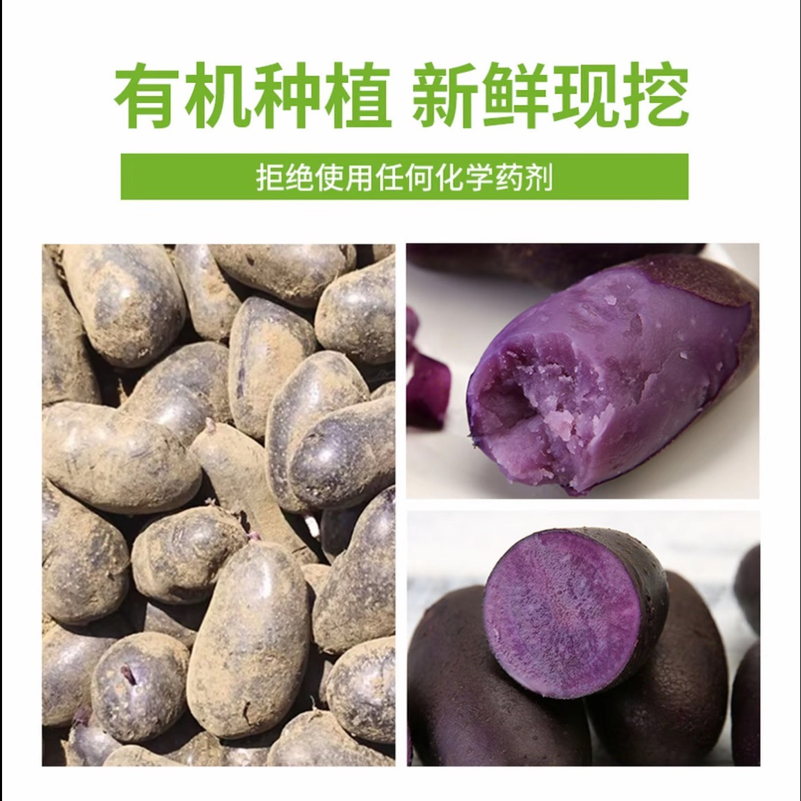 有机黑紫土豆：5斤新鲜现挖，无农残的黑金刚，花青素满满的健康宝藏！